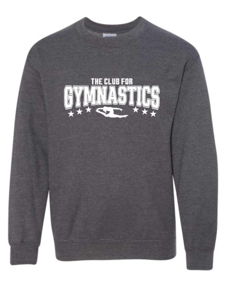 Adult grey long sleeve