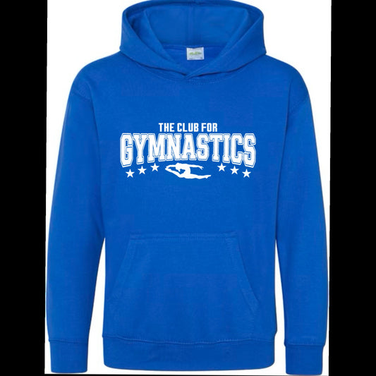 Youth royal blue hoodie