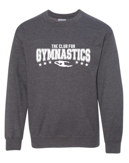 Adult grey long sleeve