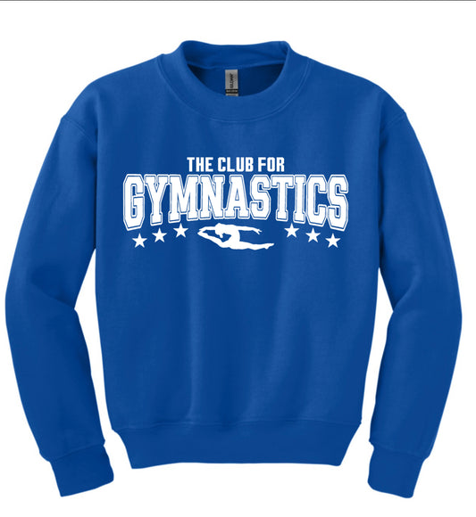 Youth royal blue crewneck