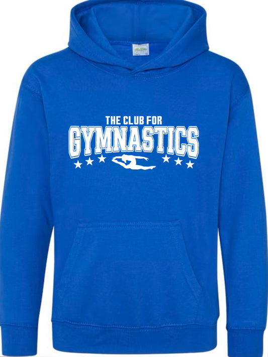 Adult royal blue hoodie